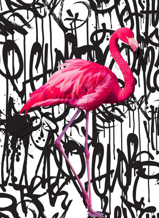Graffiti Flamingo Art Print